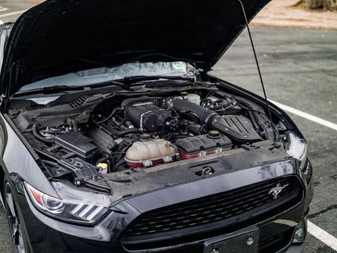 Used 2017 Ford Mustang GT Premium image 15