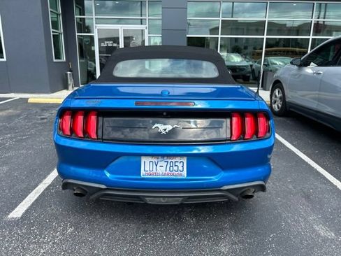 Used 2019 Ford Mustang Premium w/ Equipment Group 201A RWD image 6