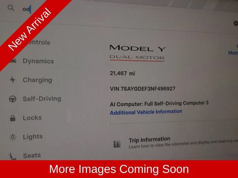 Used 2022 Tesla Model Y Performance AWD/4WD image 14