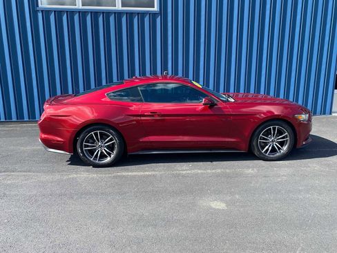 Used 2017 Ford Mustang Premium image 14