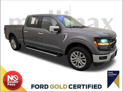 Certified 2024 Ford F150 XLT w/ Equipment Group 303A High