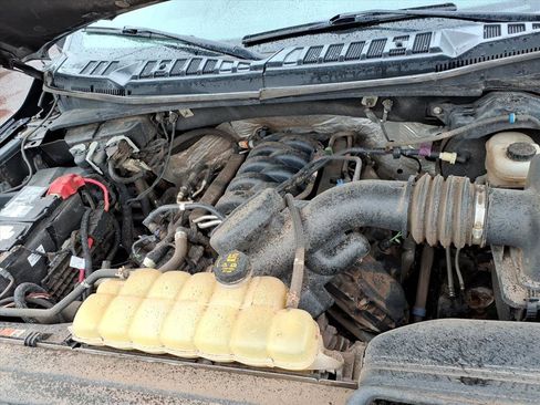 Used 2019 Ford F150 XLT w/ Equipment Group 302A Luxury image 13