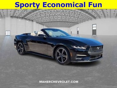 Used 2024 Ford Mustang Premium