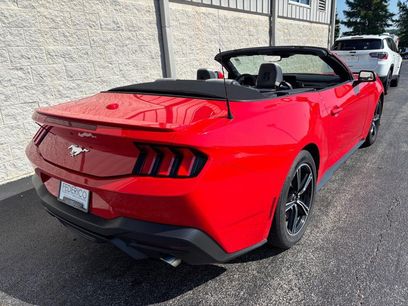 Used 2024 Ford Mustang Premium
