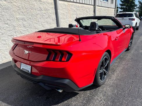 Used 2024 Ford Mustang Premium RWD image 3
