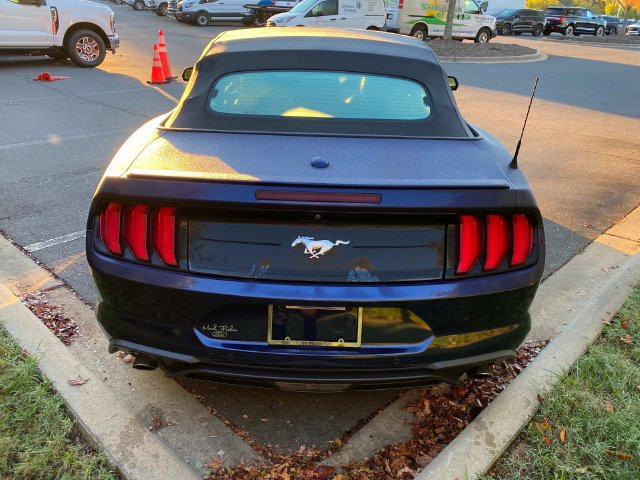 Used 2019 Ford Mustang Premium w/ Equipment Group 201A RWD image 32