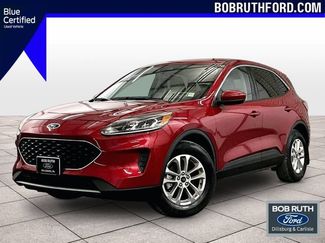 Used 2020 Ford Escape SE AWD/4WD video 1