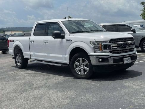 Used 2019 Ford F150 XLT w/ Equipment Group 302A Luxury AWD/4WD image 1