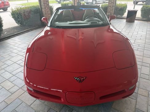 Used 1999 Chevrolet Corvette Convertible RWD image 2