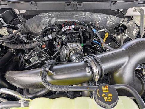 New 2026 Ford F150 STX w/ Equipment Group 200A image 15