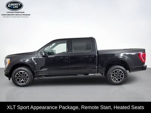 Used 2023 Ford F150 XLT w/ Equipment Group 302A High AWD/4WD image 6