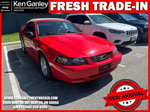 Used 2003 Ford Mustang Convertible RWD image 2