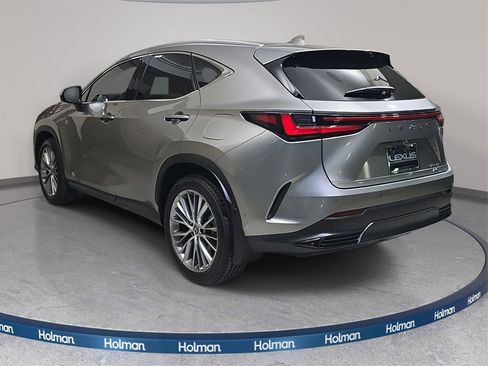 Certified 2025 Lexus NX 300h 350h Luxury image 7