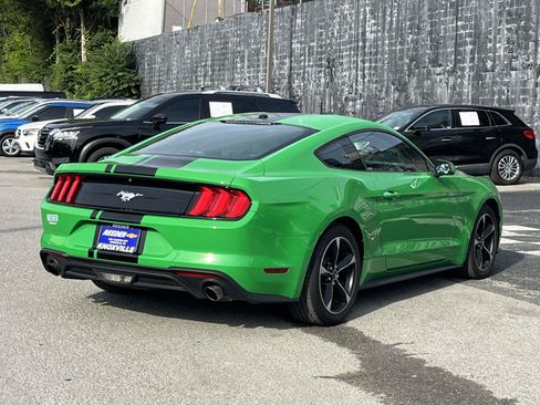 Used 2019 Ford Mustang Coupe RWD image 7