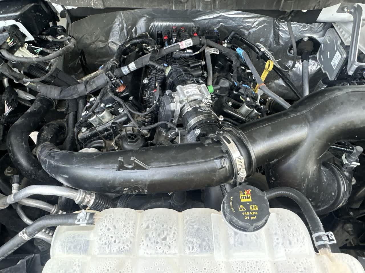 Used 2025 Ford F150 XLT w/ Equipment Group 301A Standard RWD image 12