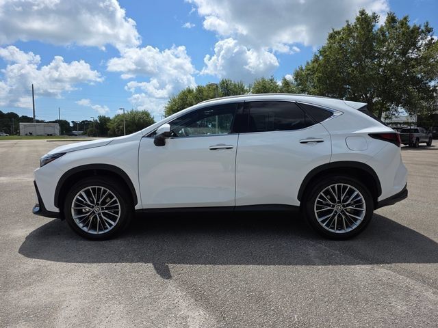 New 2026 Lexus NX 350 AWD w/ Luxury Package image 6