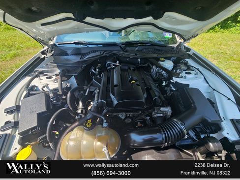 Used 2019 Ford Mustang Convertible image 13