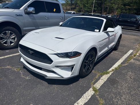 Used 2022 Ford Mustang Premium w/ Equipment Group 201A RWD image 3