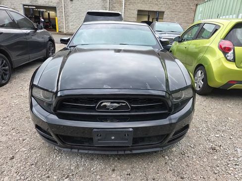 Used 2013 Ford Mustang Premium RWD image 2