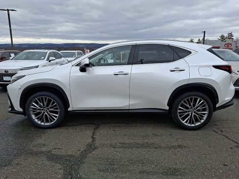 Used 2024 Lexus NX 350h AWD w/ Vision Package image 5