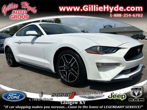 Used 2023 Ford Mustang Premium image 1