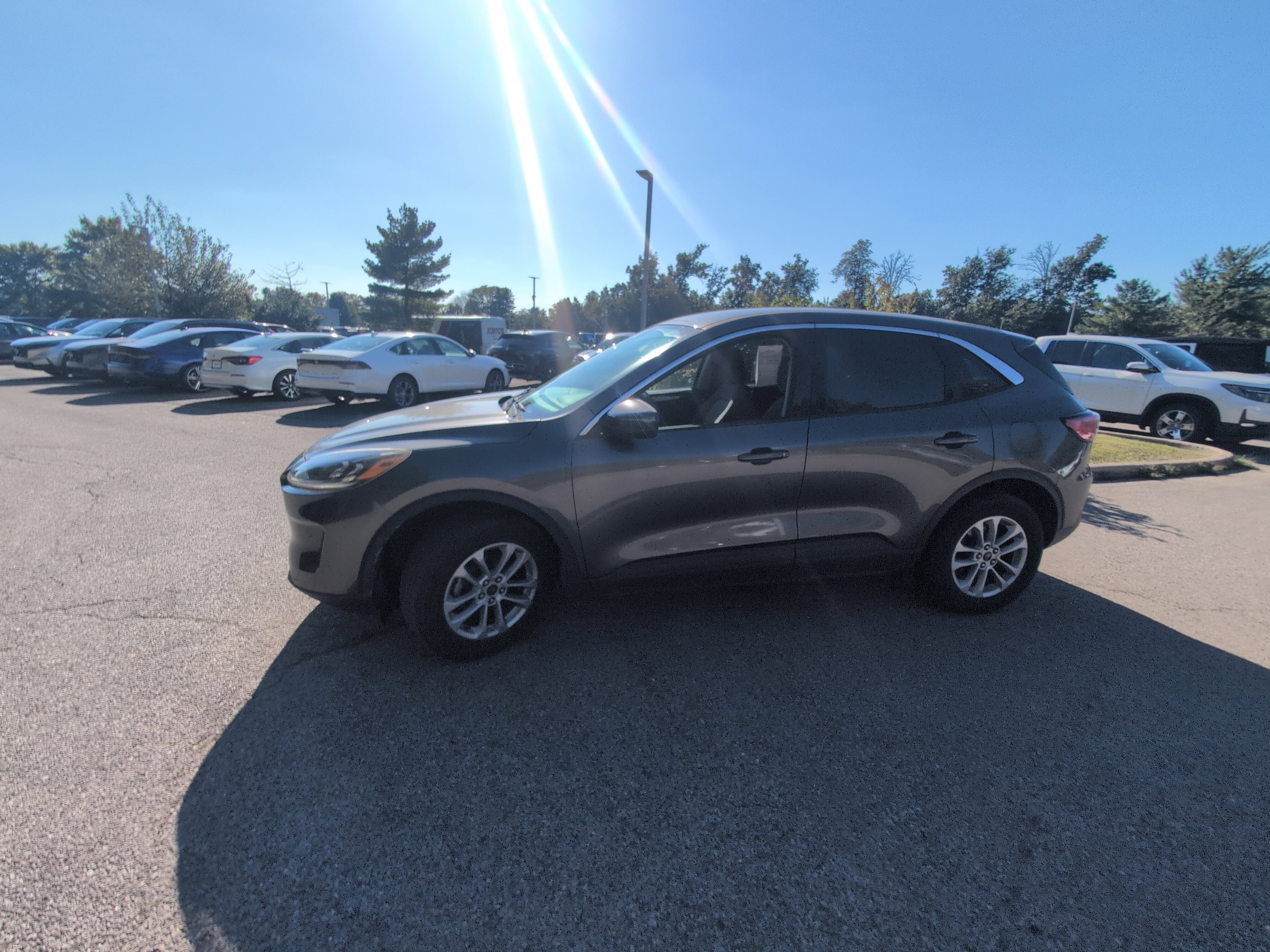 Used 2020 Ford Escape SE AWD/4WD image 6