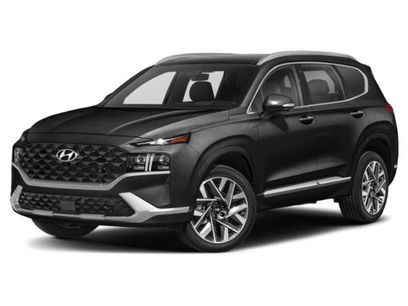 Used 2022 Hyundai Santa Fe Calligraphy w/ Winter Weather Package