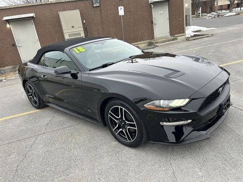 Used 2018 Ford Mustang Premium RWD image 1