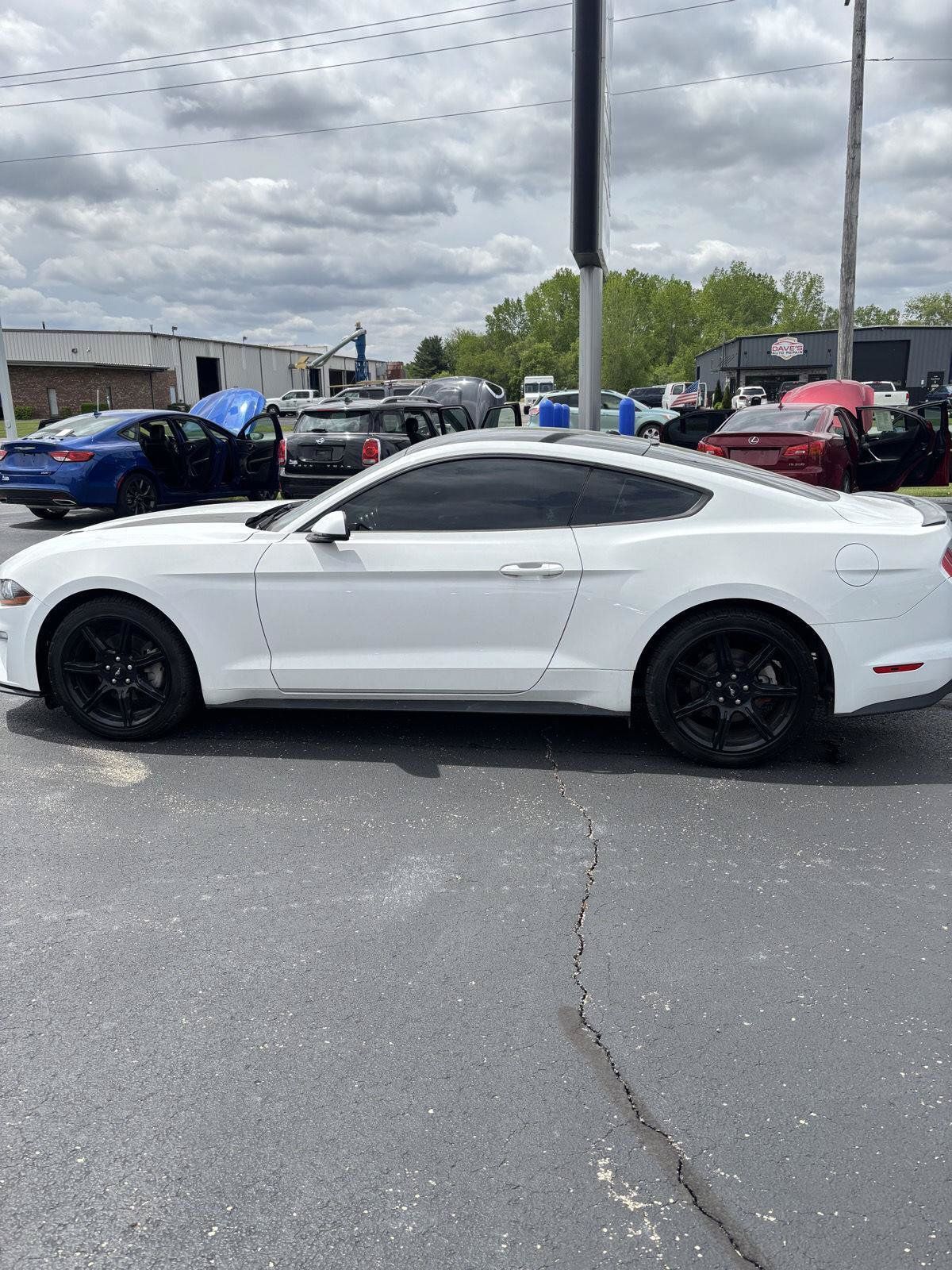 Used 2019 Ford Mustang Premium w/ Black Accent Package RWD image 8
