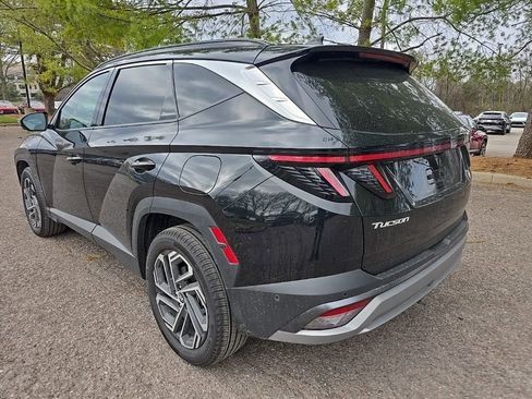 Certified 2025 Hyundai Tucson Limited image 6