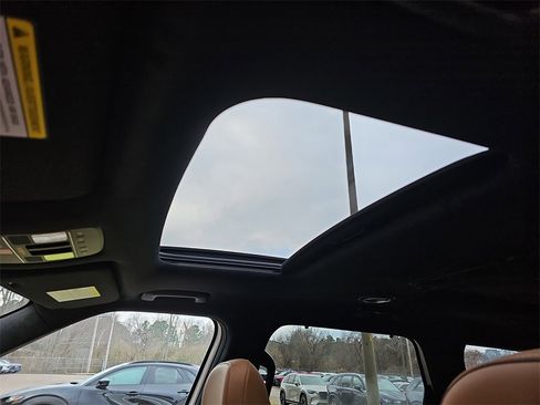 New 2026 Hyundai Palisade Calligraphy image 31