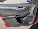 Used 2023 Ford Escape Platinum image 6