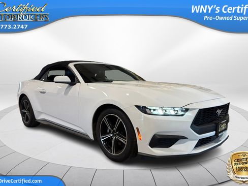 Used 2024 Ford Mustang Premium RWD image 3