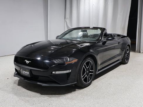 Used 2020 Ford Mustang Premium image 13