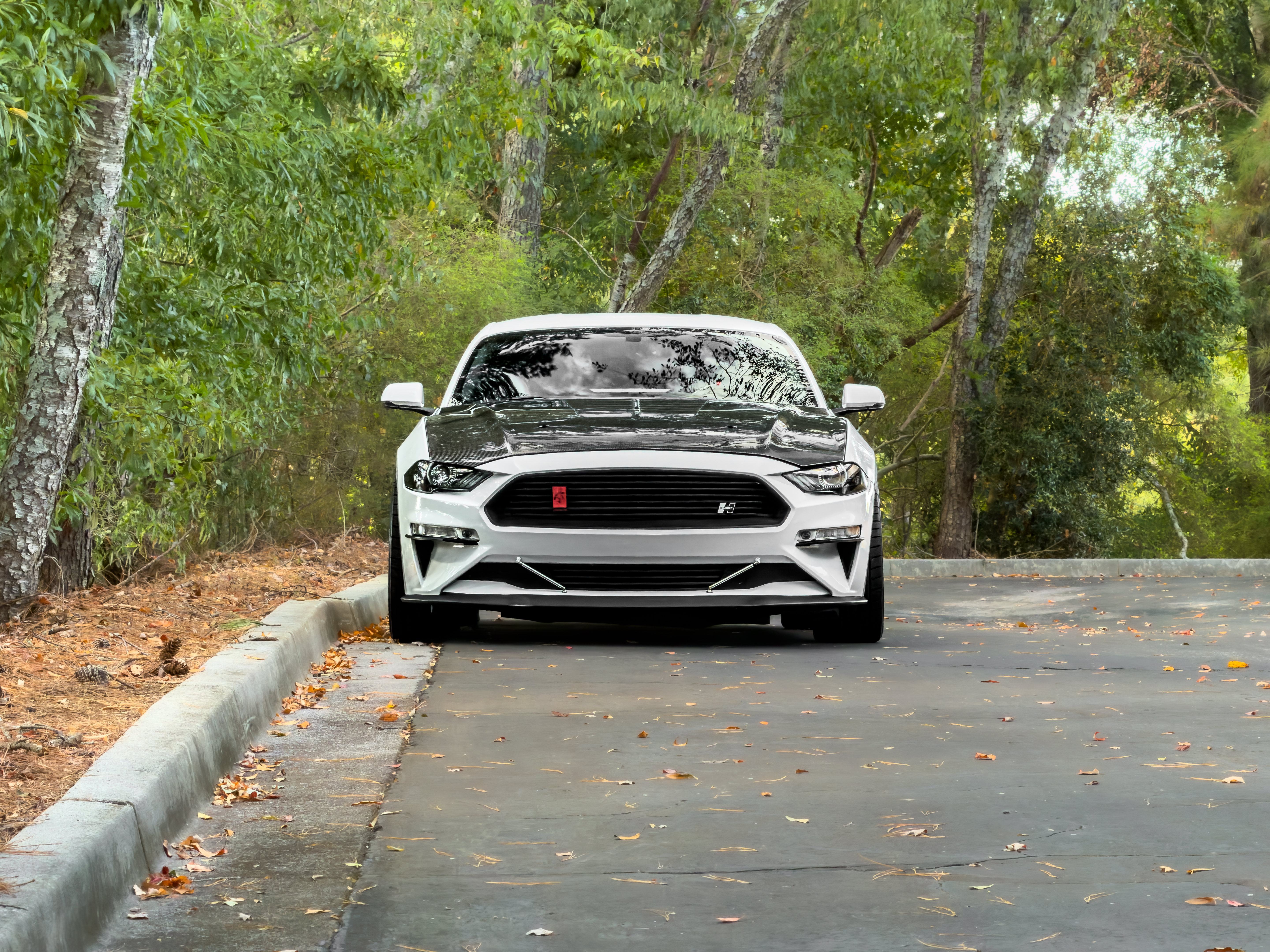 Used 2019 Ford Mustang GT Premium w/ GT Performance Package RWD image 33