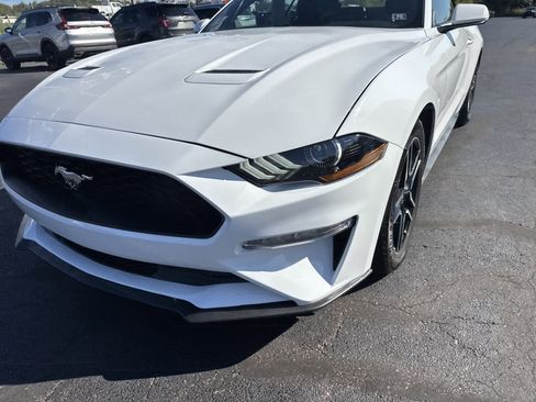 Used 2023 Ford Mustang Premium image 10