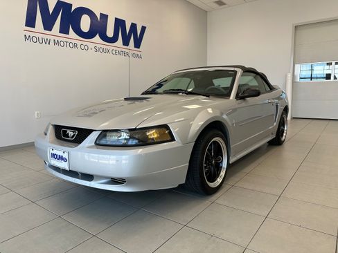 Used 2001 Ford Mustang Premium RWD image 2