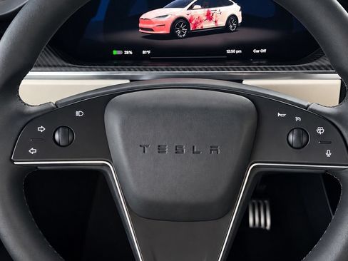 Used 2023 Tesla Model X Plaid AWD/4WD image 13