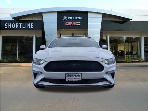 Used 2019 Ford Mustang Premium w/ Equipment Group 201A RWD image 10