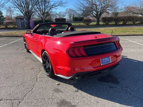 Certified 2019 Ford Mustang Premium w/ Equipment Group 201A image 19