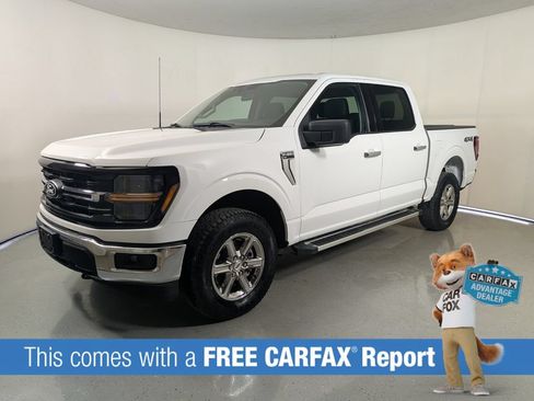 Used 2025 Ford F150 XLT w/ Equipment Group 301A Standard AWD/4WD image 3