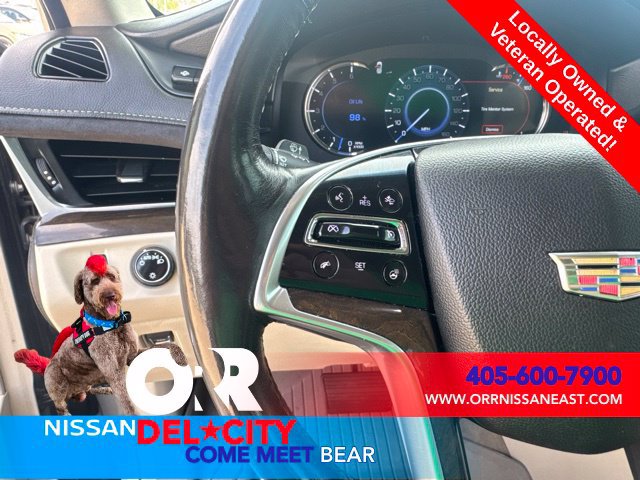 Used 2019 Cadillac Escalade Premium Luxury AWD/4WD image 21