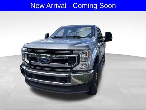 Used 2020 Ford F250 XL w/ STX Appearance Package AWD/4WD image 2