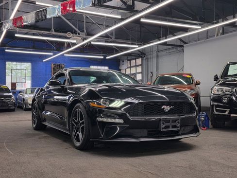 Used 2018 Ford Mustang Coupe w/ Equipment Group 101A RWD image 3