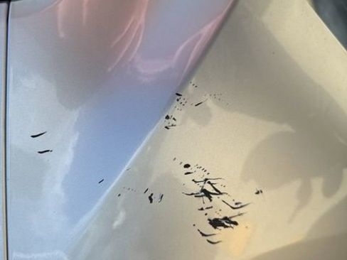 Used 2019 Chevrolet Silverado 1500 LT w/ Texas Edition image 11