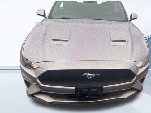 Used 2023 Ford Mustang Premium image 14