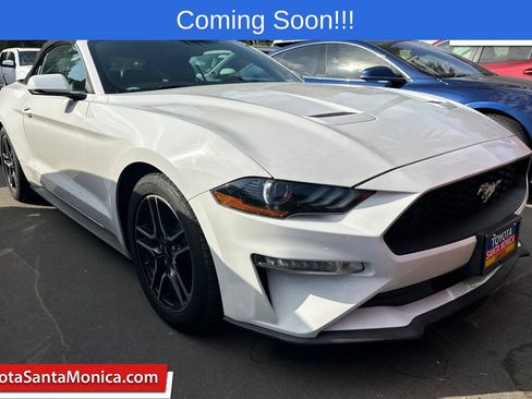 Used 2019 Ford Mustang Premium RWD image 1