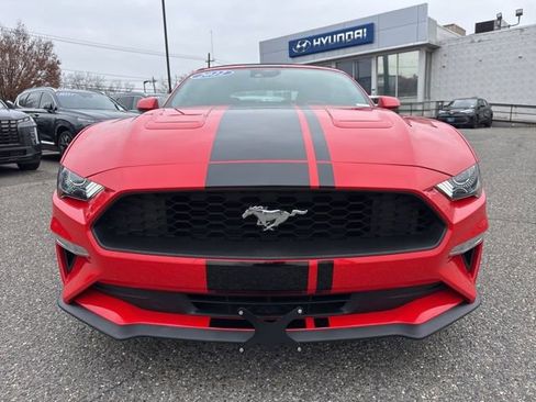 Used 2022 Ford Mustang Premium w/ Equipment Group 201A image 2