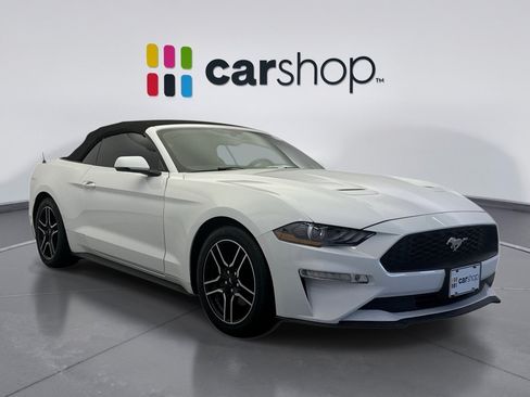 Used 2019 Ford Mustang Premium RWD image 7
