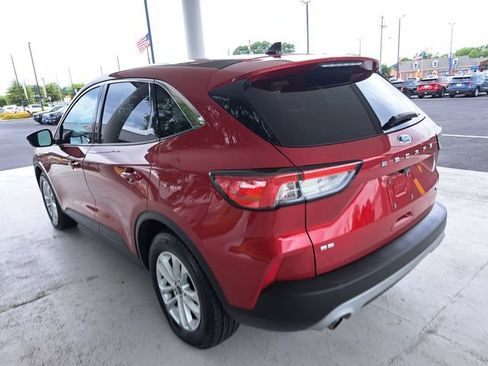 Used 2020 Ford Escape SE FWD image 4